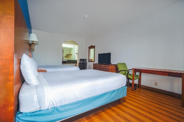 Island Inn By OYO Galveston Beach, TX image 25